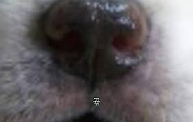 아이컨택 이미지