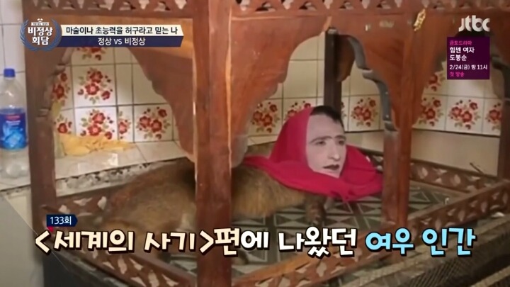 [비정상회담] 여우인간 대란 | 인스티즈