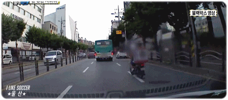 [블랙박스] 운이 좋은 오토바이 운전자.gif | 인스티즈
