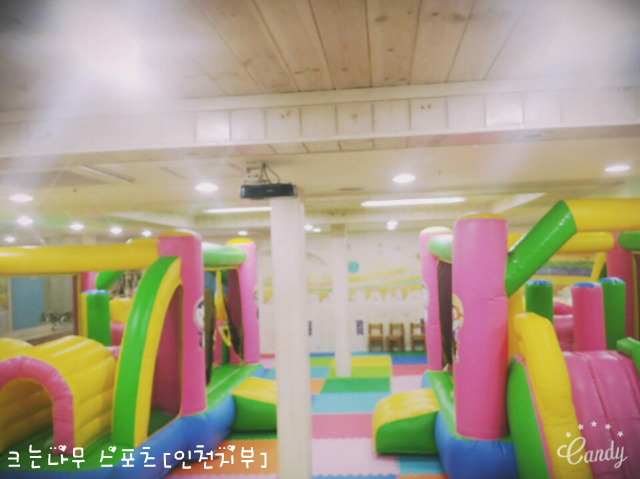 크는나무스포츠클럽 이미지