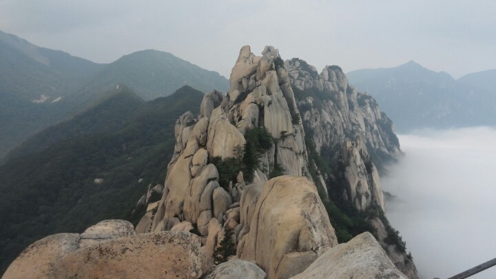 (주)산야 이미지
