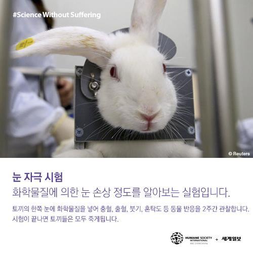 저를 죽이기 전에 눈을 한번 봐주세요(혐오주의) | 인스티즈