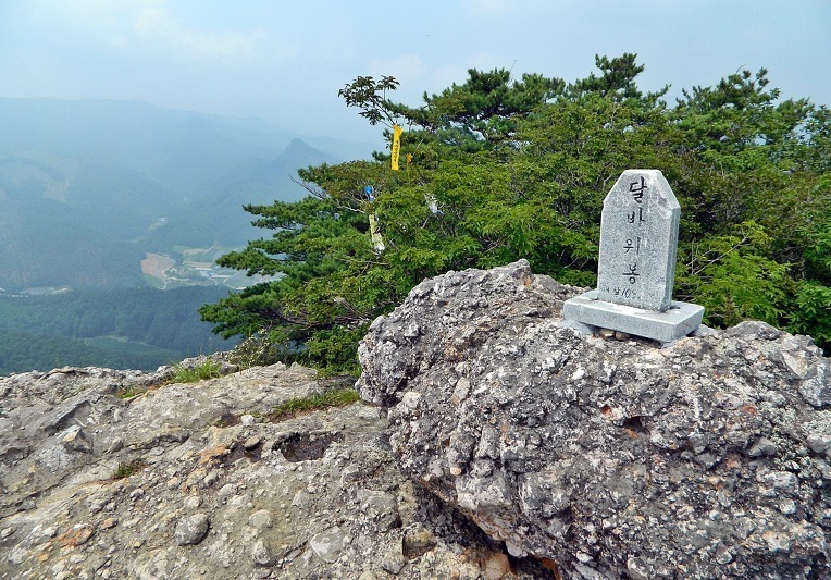 봉화체육관 이미지