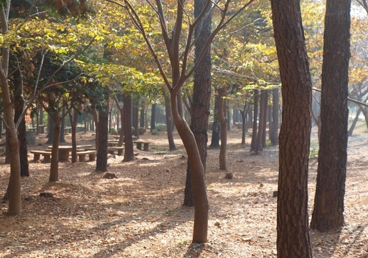 야영장슈퍼 이미지