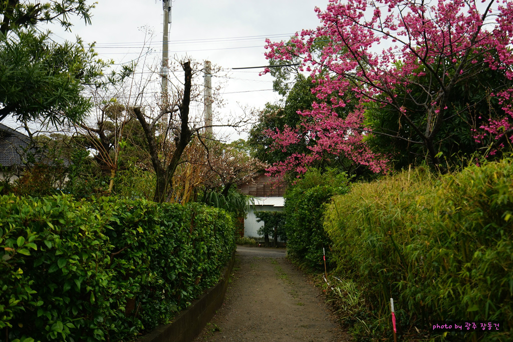 일본 바이크 투어 D+9 | 인스티즈