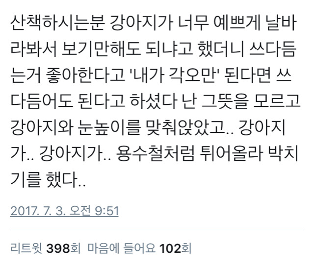 댕댕이 주인 : 각오만 된다면 쓰다듬으셔도 좋아요 | 인스티즈