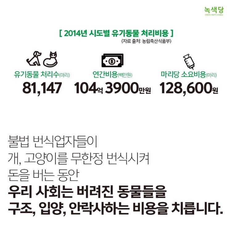 강아지 사지마세요 절대!!!!!!!!!!! (불쌍함주의) | 인스티즈