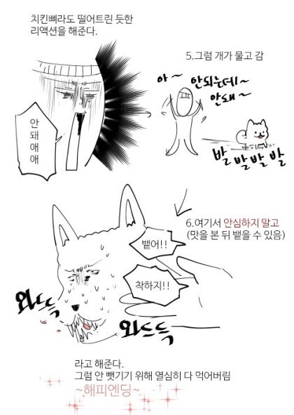 개 약 먹이는 방법.jpg | 인스티즈