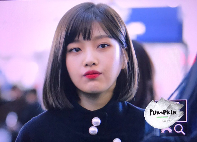 최근 레드벨벳 사진 | 인스티즈