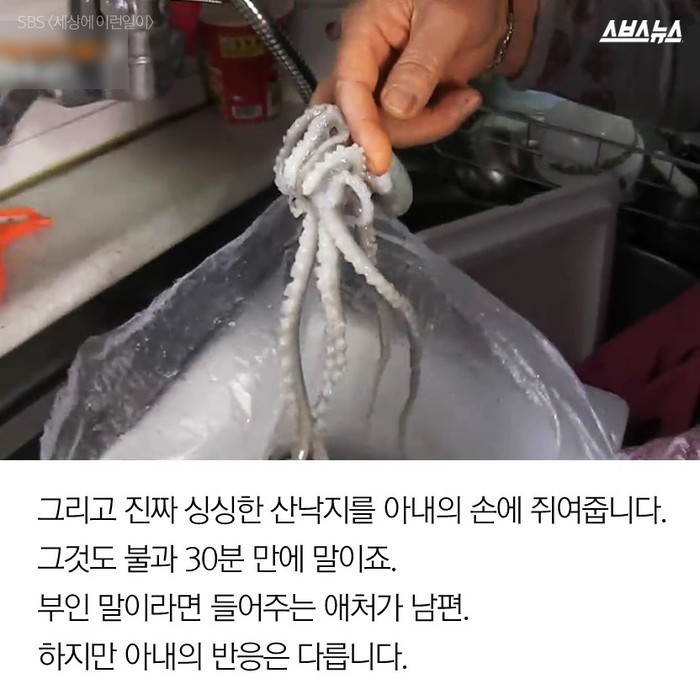 할아버지가 17년동안 만든 수제 비행기.jpg | 인스티즈