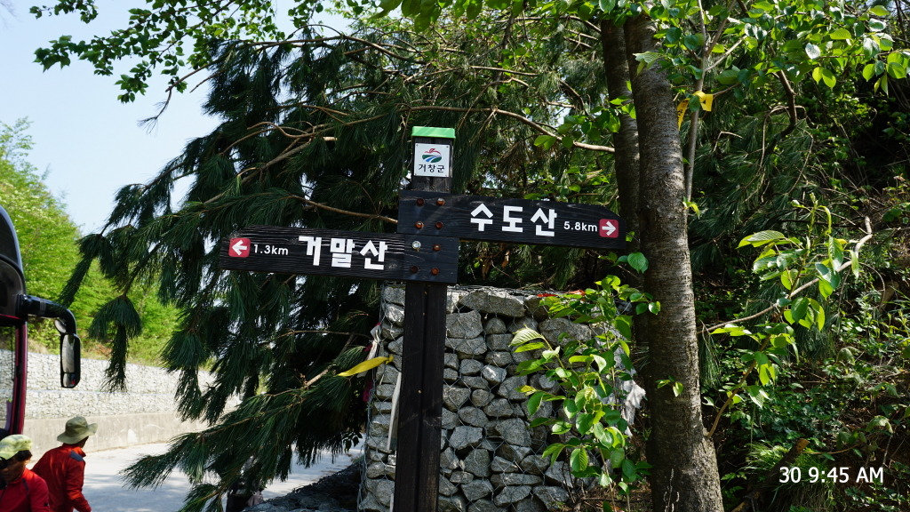 개금약초 이미지