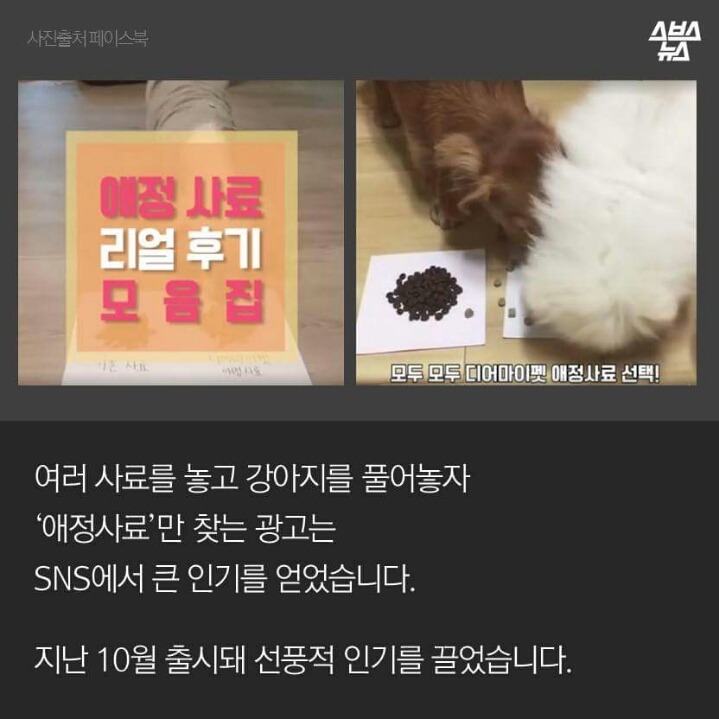 애정이 독이 된 사료 | 인스티즈