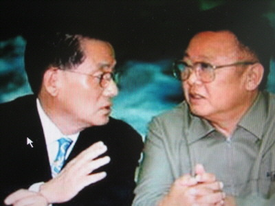 목화수 이미지