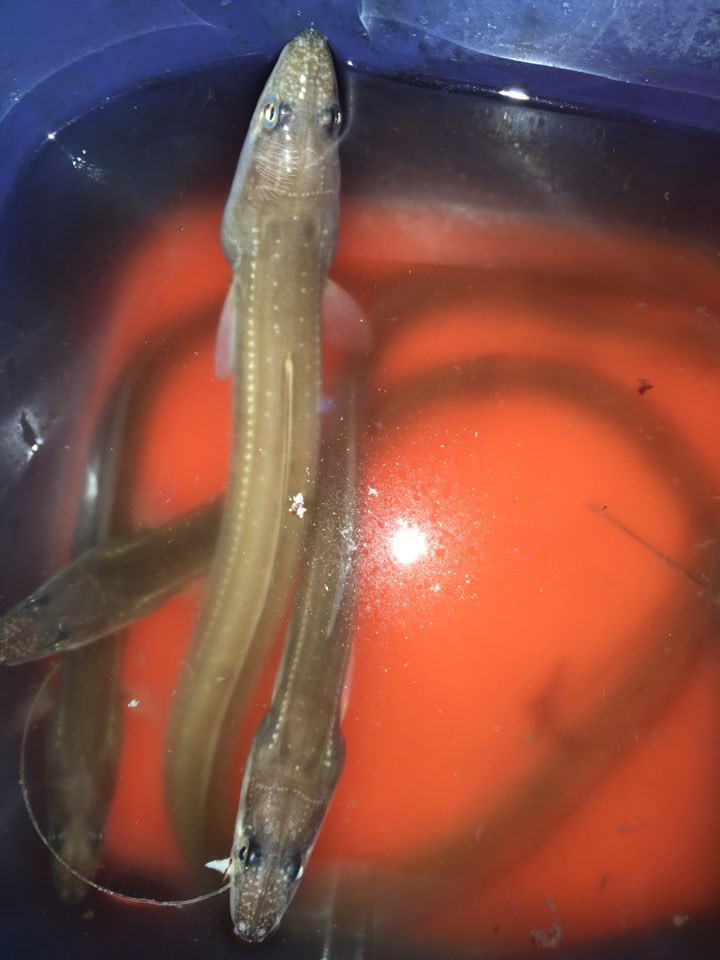 밤바람 이미지