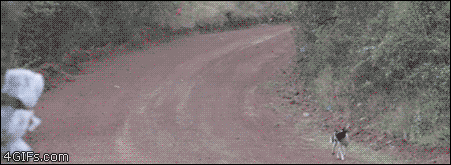 천만다행.gif | 인스티즈