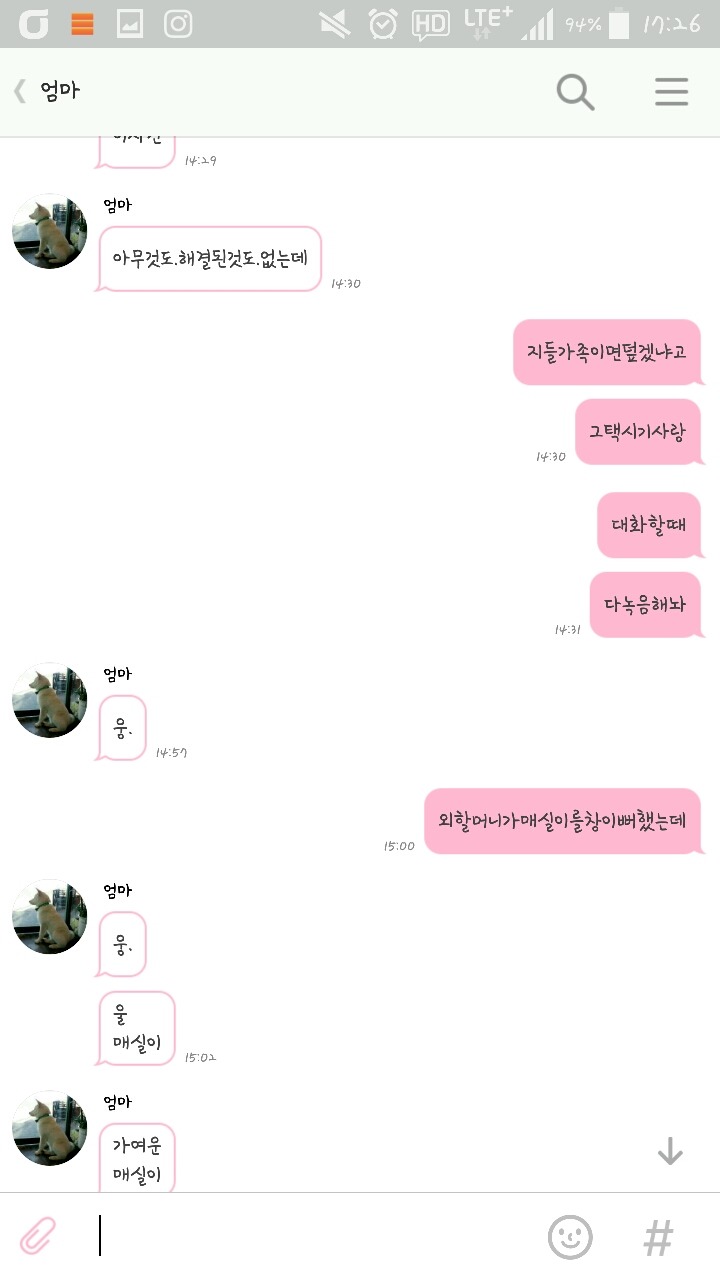 개소주로 만들어져버린 우리집 강아지 매실이를 도와주세요. 부탁드려요. 제발 퍼트려주세요 | 인스티즈
