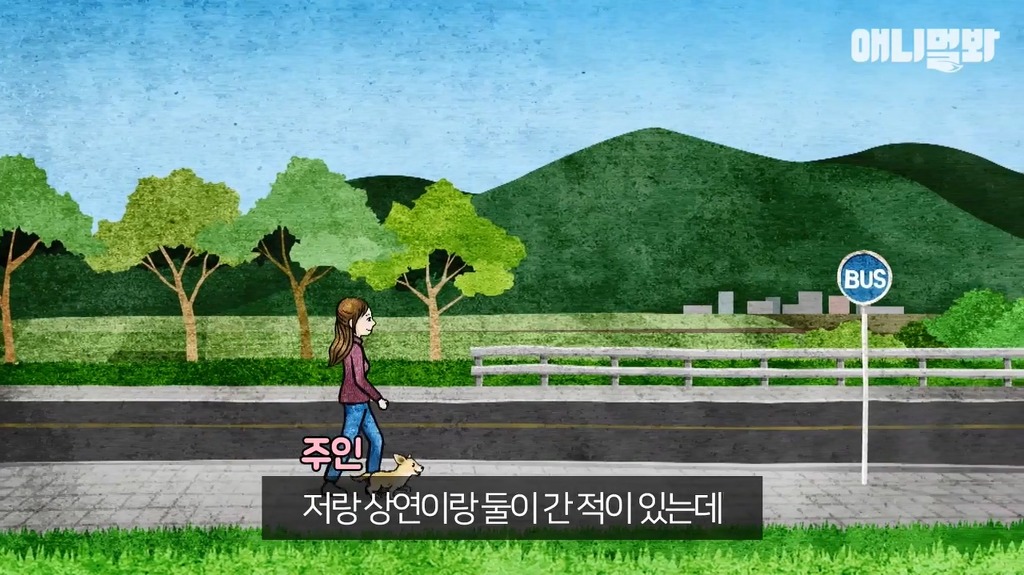 혼자 버스타고 지인 만나러가는 강아지 | 인스티즈