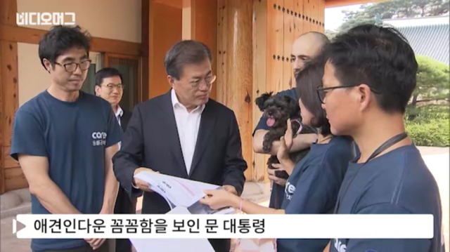 토리가 새마약방석이 맘에 들었나보다(영상） | 인스티즈