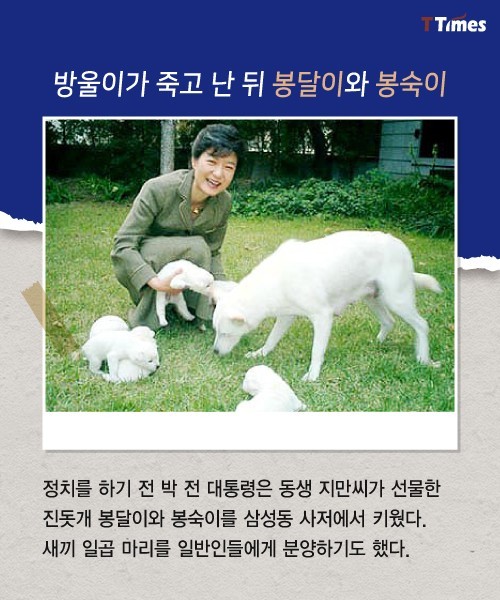 박근혜를 거쳐 간 강아지들 스토리 | 인스티즈
