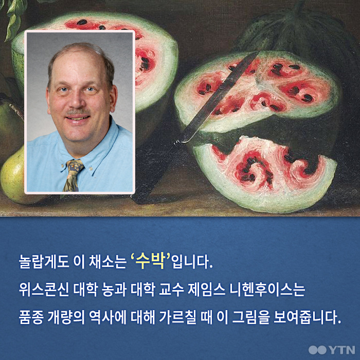 당신이 모르는 수박의 숨겨진 과거 | 인스티즈