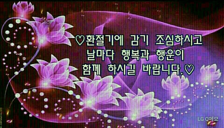 이쁜여우 이미지