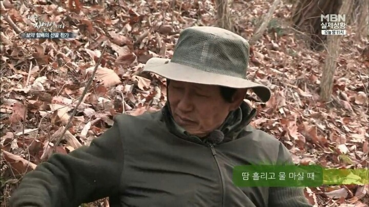 나는 자연인이다 마늘성애자 (마늘주의) | 인스티즈