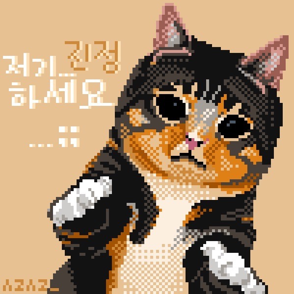 아기를 아프게 하는 마룬5 | 인스티즈