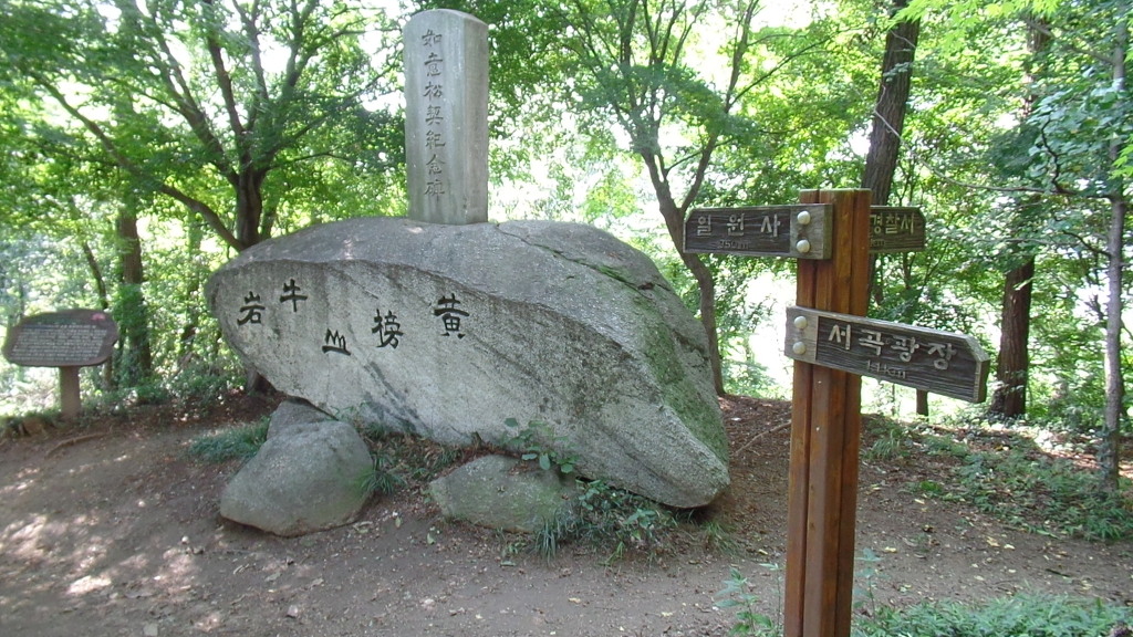 5000년전 마한시대 고인돌이 있는 전주 황방산 공원 산책하기 (안구정화) | 인스티즈