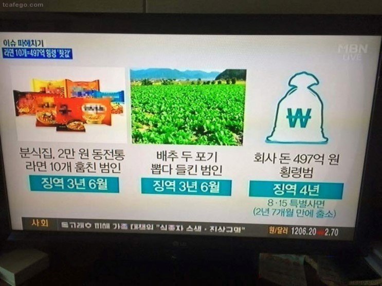 대한민국 法의 위엄!! | 인스티즈