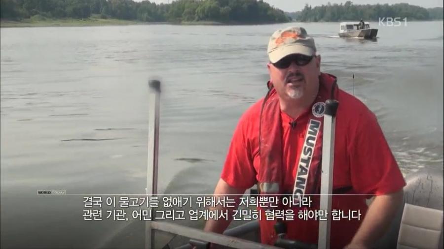 미국 전역을 장악한 아시아잉어의 역습.jpg | 인스티즈