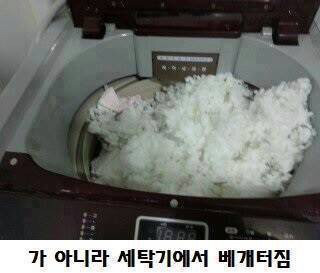 고슬 이미지