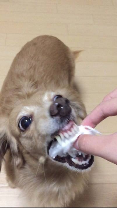 천국의 맛 | 인스티즈