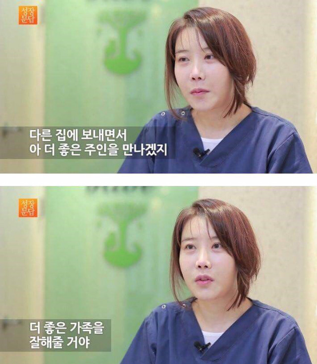 동물을 좋아하는 사람이 동물을 버린단 말이에요 | 인스티즈