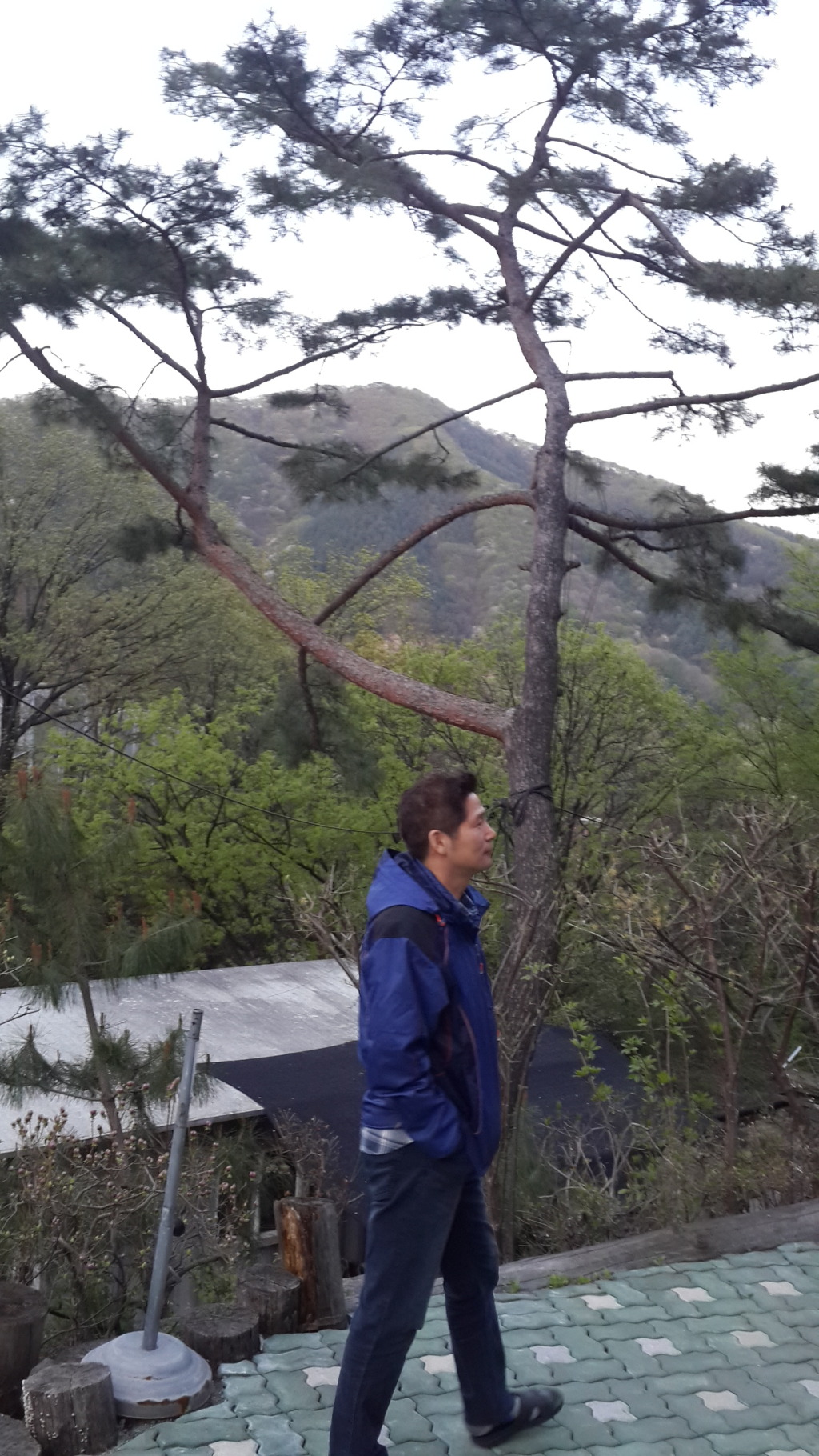 풍양중학교 이미지