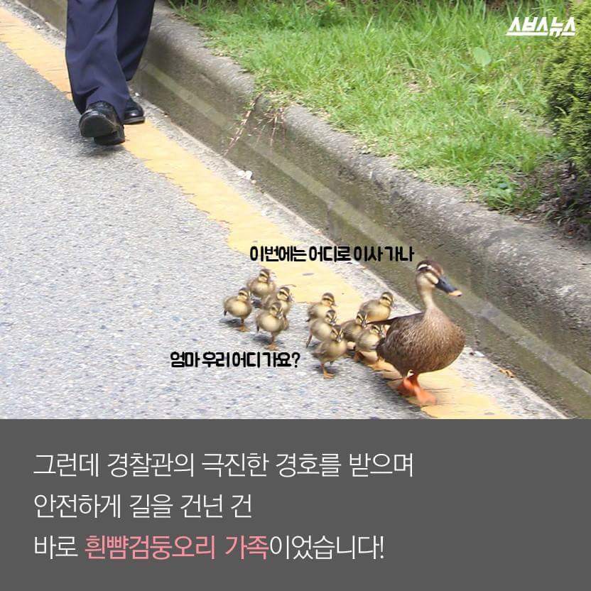 당신은 당신의 이웃을 사랑하십니까? | 인스티즈
