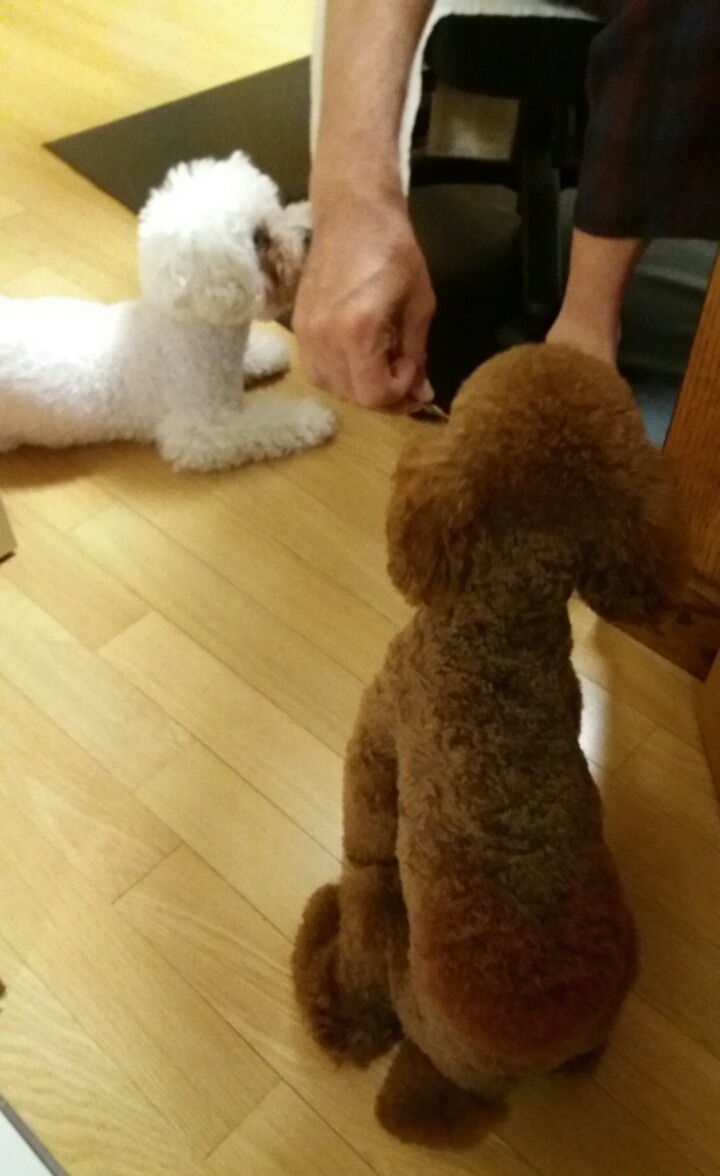 뷰토 이미지