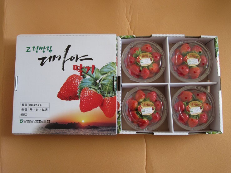 참농꾼 이미지