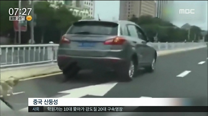 중국에서 차에 강아지 매단채 질주 | 인스티즈