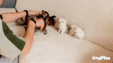 ??? : 야 사진 빨리 찍어.gif | 인스티즈
