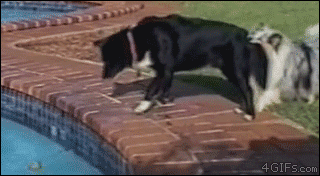 안 떨어지게 잘 잡아 .GIF | 인스티즈