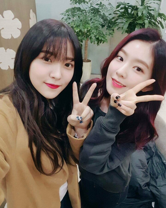 [레드벨벳] 한결같은 셀카자세 아이린 | 인스티즈