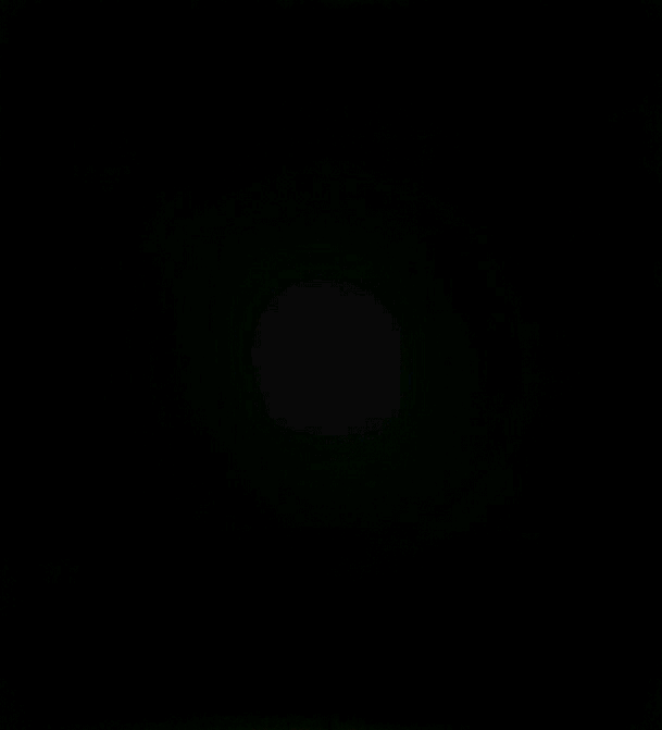 16학번 신입생들의 머지않은 미래 | 인스티즈
