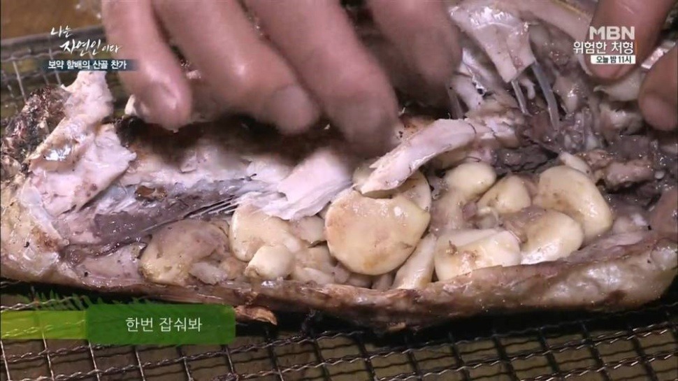 마늘 덕후 나는 자연인이다 | 인스티즈