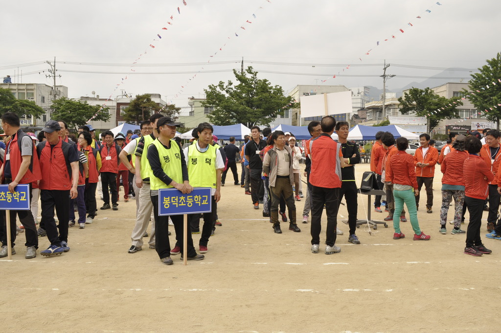 산호초등학교 이미지
