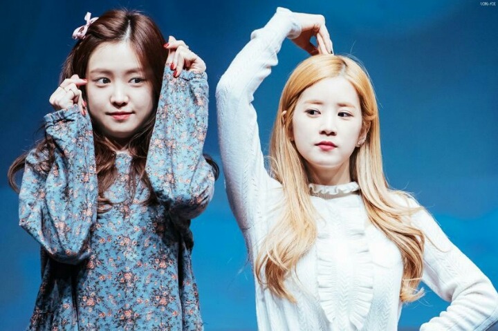 빼빼로게임하는 에이핑크.gif | 인스티즈