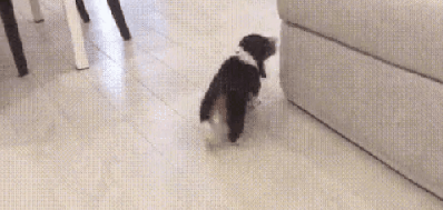 올라가다 쿵해쪄.gif | 인스티즈