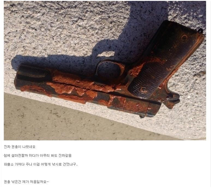 한강에서 낚은 권총.jpg | 인스티즈