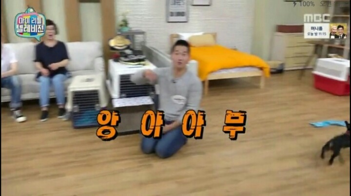 [마리텔] 강형욱 훈련사도 포기한 강아지 도비 | 인스티즈