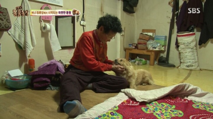 [동물농장] 할머니와 발바리의 따뜻한 우정 | 인스티즈