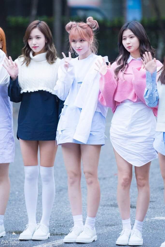 채영이 다현이 사나 모모 | 인스티즈